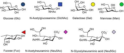 Recent Progress in Chemo-Enzymatic Methods for the Synthesis of N-Glycans